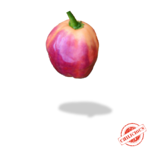 1-Purple-Peach